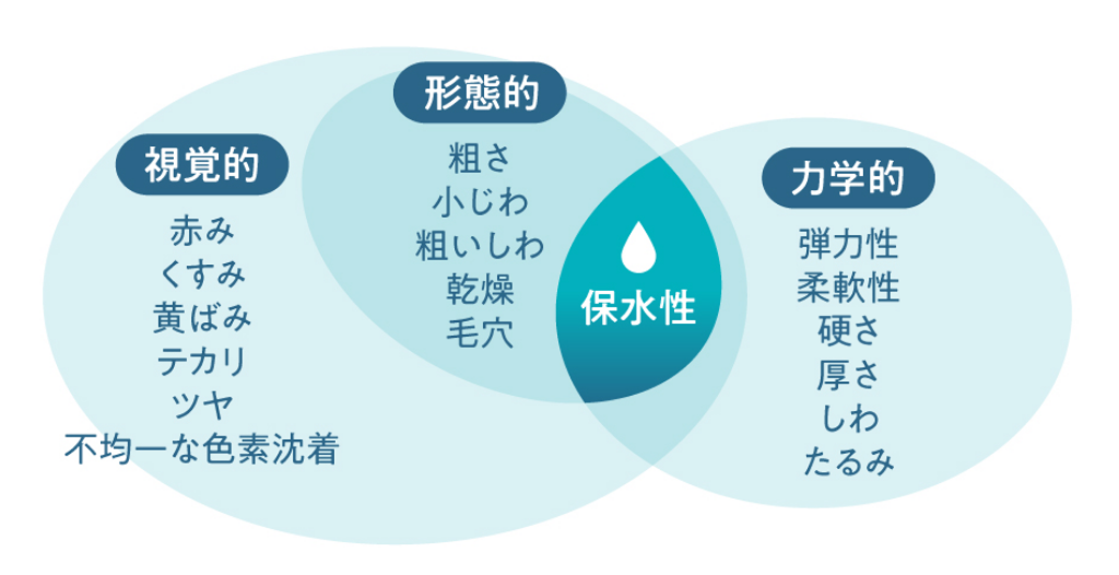 保水性が肌に及ぼす影響