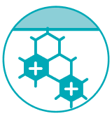 線維芽細胞の活性化